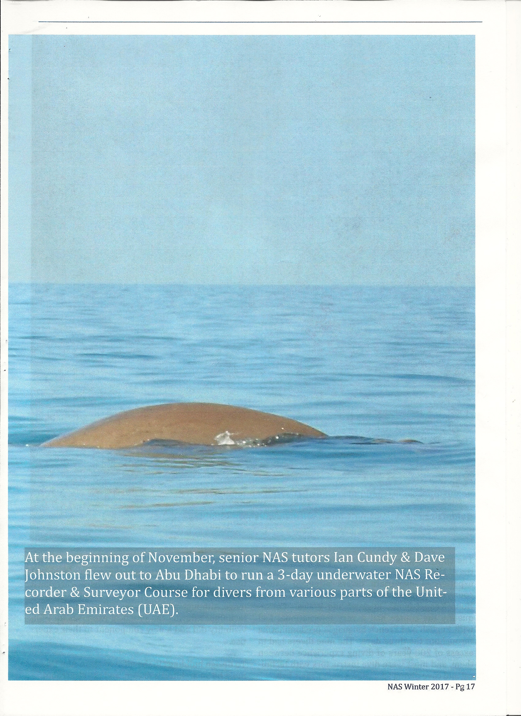 Article - Abu Dhabi Field School 2016